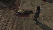 Hiroshii's death