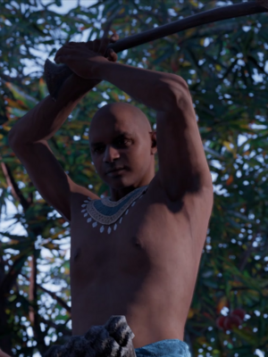 ACO Mereruka.png