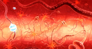 Neurotransmitters AC2.png