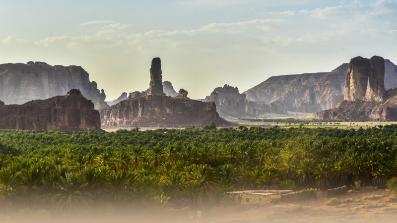 File:ACMir VoM DB - AlUla Oasis.webp