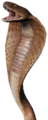 Thumbnail for version as of 00:20, 23 January 2026
