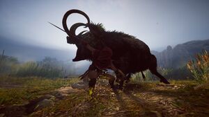 ACOd-ErymanthianBoar-03.jpg