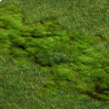 Thumbnail for version as of 22:45, 15 June 2026