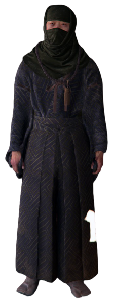 File:ACSH Ise Sadatame.png