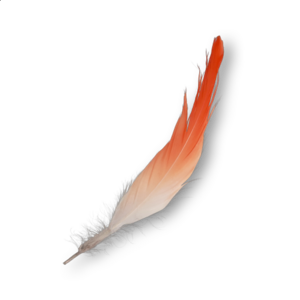 ACMir Flamingo Feather.png