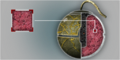 Thumbnail for version as of 22:31, 11 August 2026