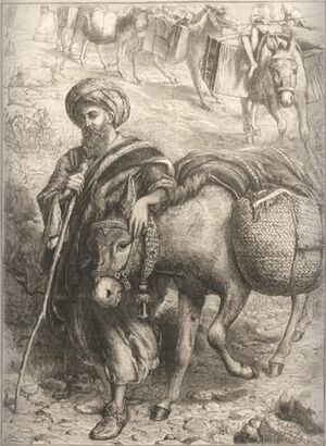 ACS DB Illustrations 13.jpg