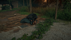 ACV Plucking the Quill 13.png