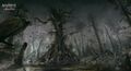 Thumbnail for version as of 00:21, 23 January 2026