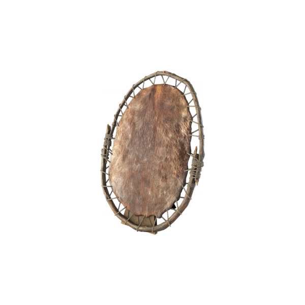 File:ACBFR DB Beaver Pelt.webp