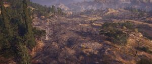 ACOD Battleground of Plataia.jpg
