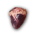 Thumbnail for version as of 00:10, 23 January 2026