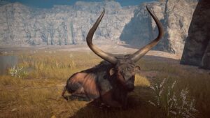 ACOd-KretanBull-rest.jpg