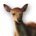 Thumbnail for version as of 16:31, 28 June 2026
