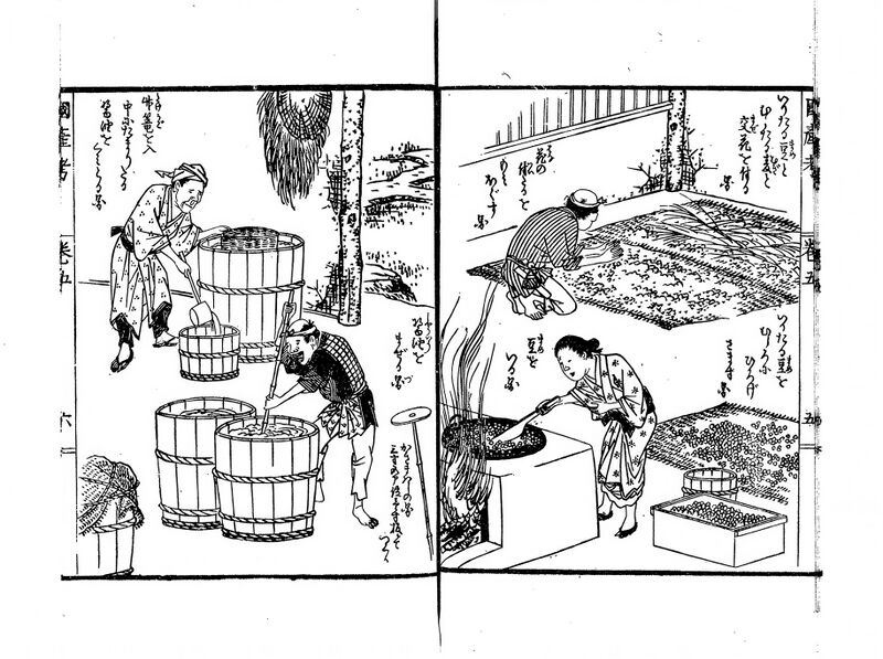 File:ACSH DB Soy Sauce.jpg