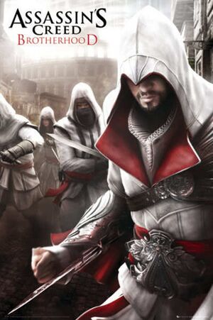 Ac-Brotherhood-assassins-creed-17646982-400-601.jpg