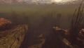 Thumbnail for version as of 00:20, 23 January 2026
