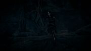 The Elder at the cave