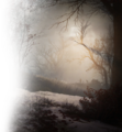 Thumbnail for version as of 00:18, 23 January 2026