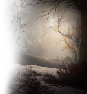 ACV DB Dalby Forest.png