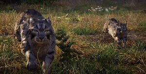 ACV Wildcats of the Weald.jpg