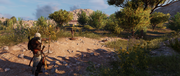 Bayek hunting snakes for their venom