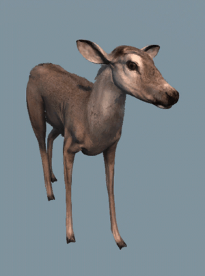 DB Deer.png