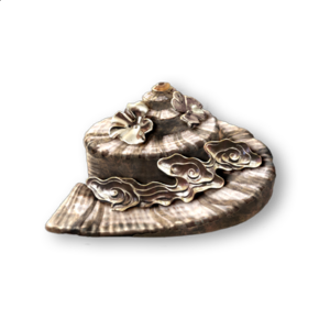 ACMirage Decorated Shell.png