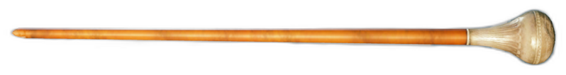 File:ACU The Drumstick.png