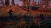 Cola fighting against the Viking Eivor