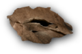 Thumbnail for version as of 00:31, 23 January 2026