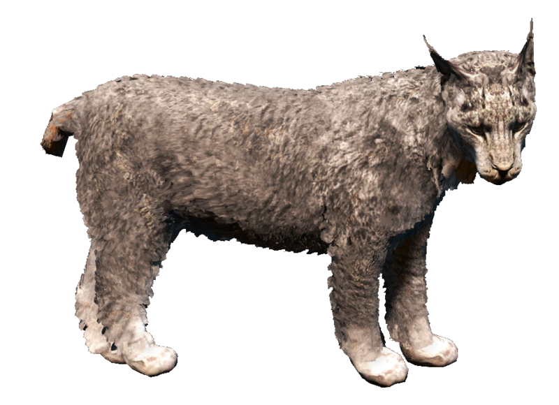 File:ACRogue Fauna Canadian lynx.png