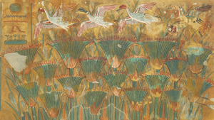 DTAE Papyrus Marsh.png
