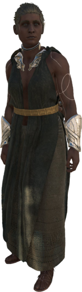 File:ACOD TFoA JoA Isu Harbormaster render fullbody.png