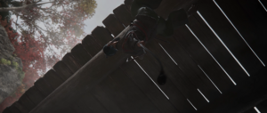 ACSH Shinobi Warfare 26.png