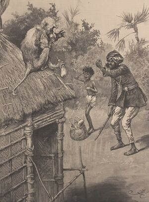 ACS DB Illustration9.jpg