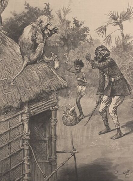 File:ACS DB Illustration9.jpg