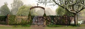 Location - St. Peter Street Cemetery - 2.jpg