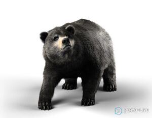 AC3-Bear render.jpg