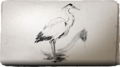 Thumbnail for version as of 00:21, 23 January 2026