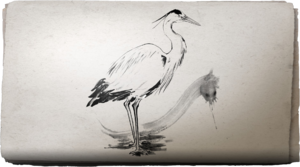 ACSH Sumi-E Graceful Grey Heron.png