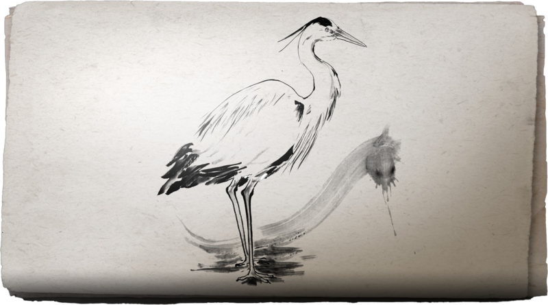 File:ACSH Sumi-E Graceful Grey Heron.png