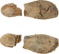 Thumbnail for version as of 18:25, 19 September 2026