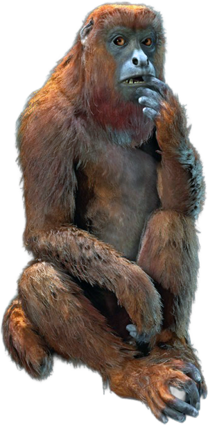 ACBFR DB Red Howler Monkey.png