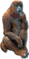 Thumbnail for version as of 11:43, 30 July 2026