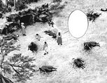 The Shinbakufu attacking the kofun