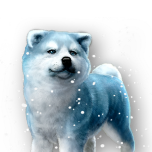 ACSH Pet Winter Akita.png