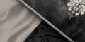 Thumbnail for version as of 00:08, 23 January 2026