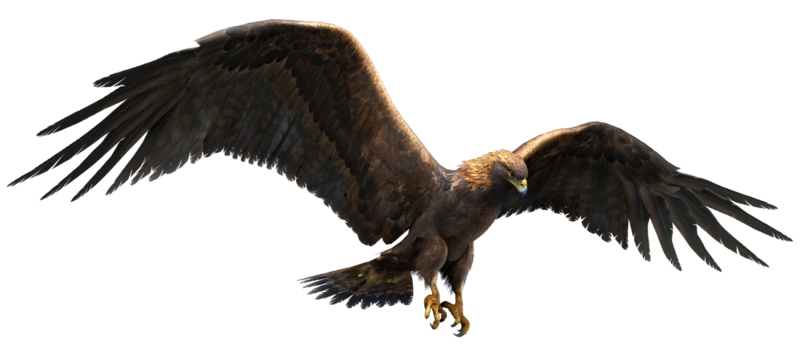 File:ACBFR DB Eagle.webp