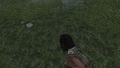 Thumbnail for version as of 00:20, 23 January 2026
